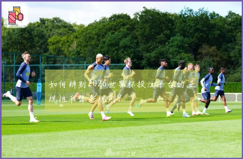 如何辨别2026世界杯投注平台的正规性和体彩规则？