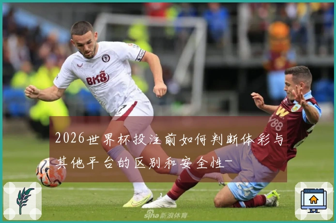 2026世界杯投注前如何判断体彩与其他平台的区别和安全性-