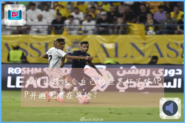 如何选择适合自己的世界杯买球APP并避免潜在风险？