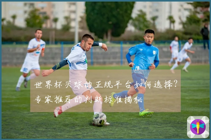 世界杯买球的正规平台如何选择？专家推荐的判断标准揭秘